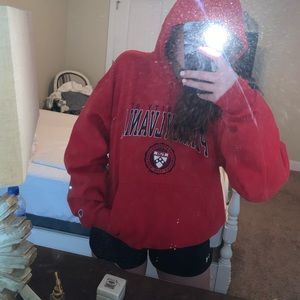 Champion university of penn sweatshirt